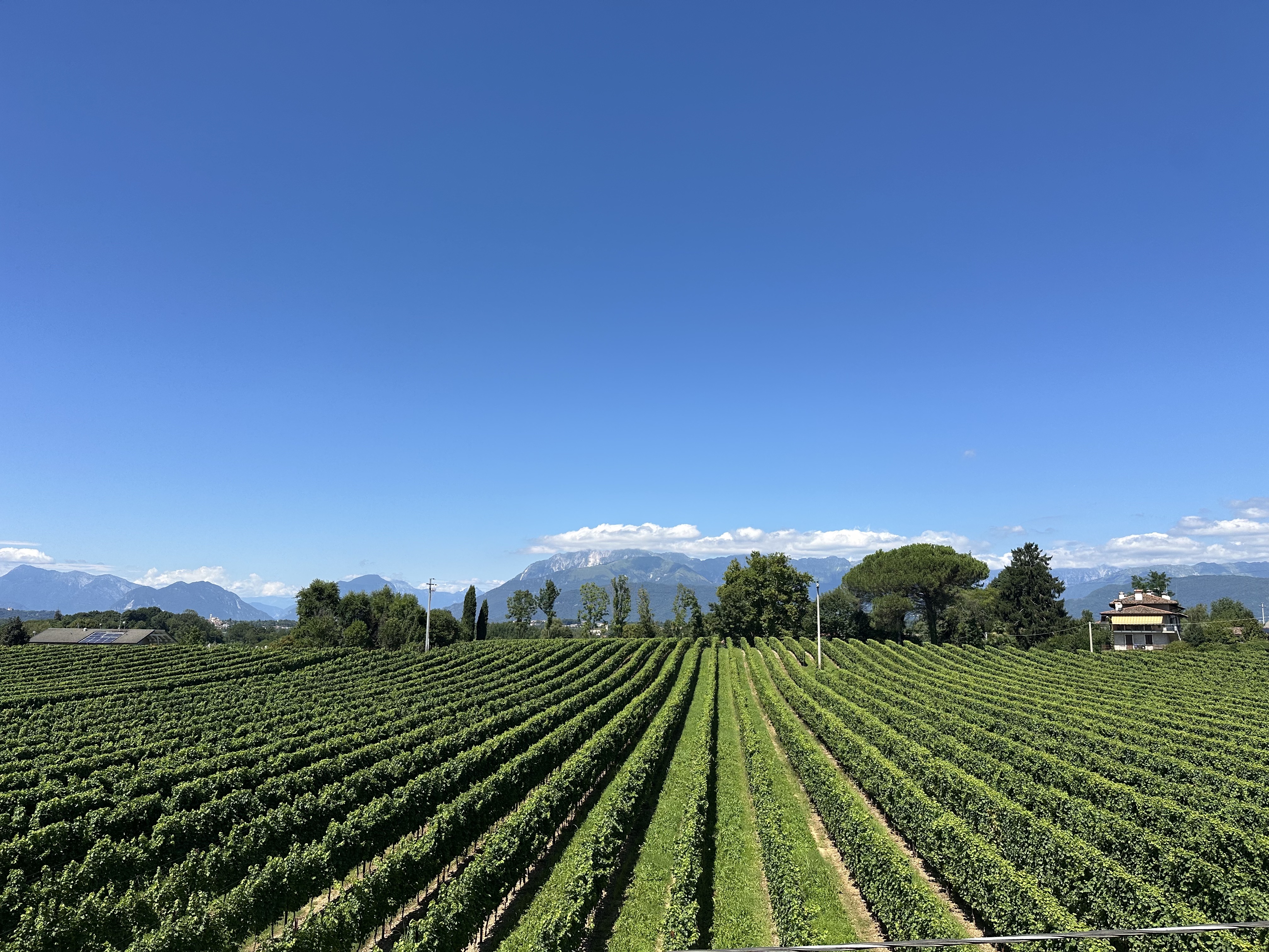 Media numero 10 di Ara Grande - Casa in corte