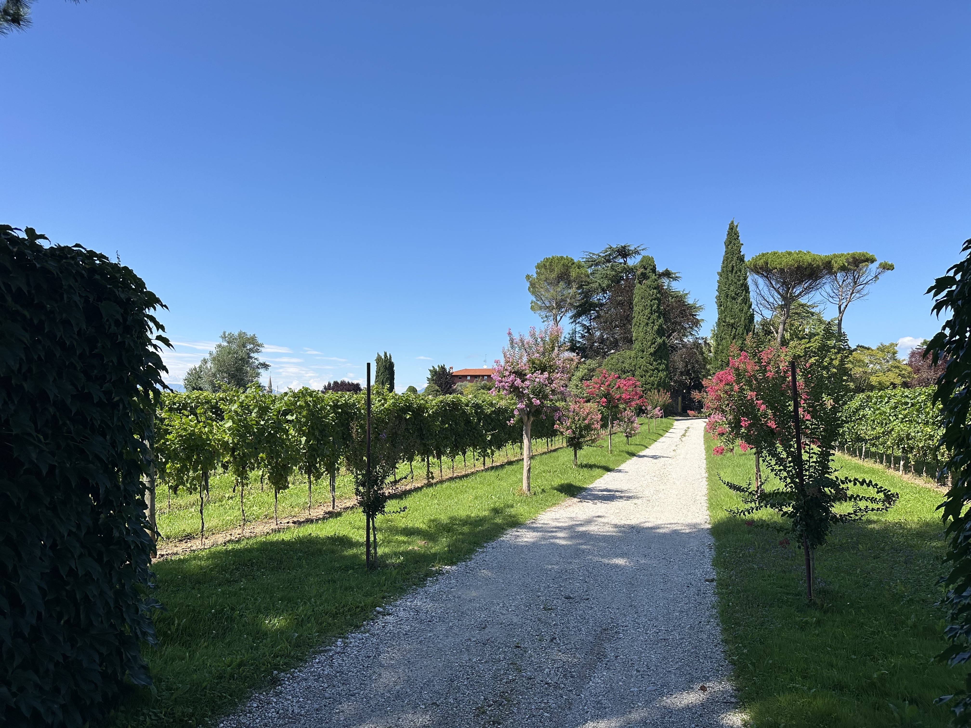 Media numero 18 di Ara Grande - Casa in corte