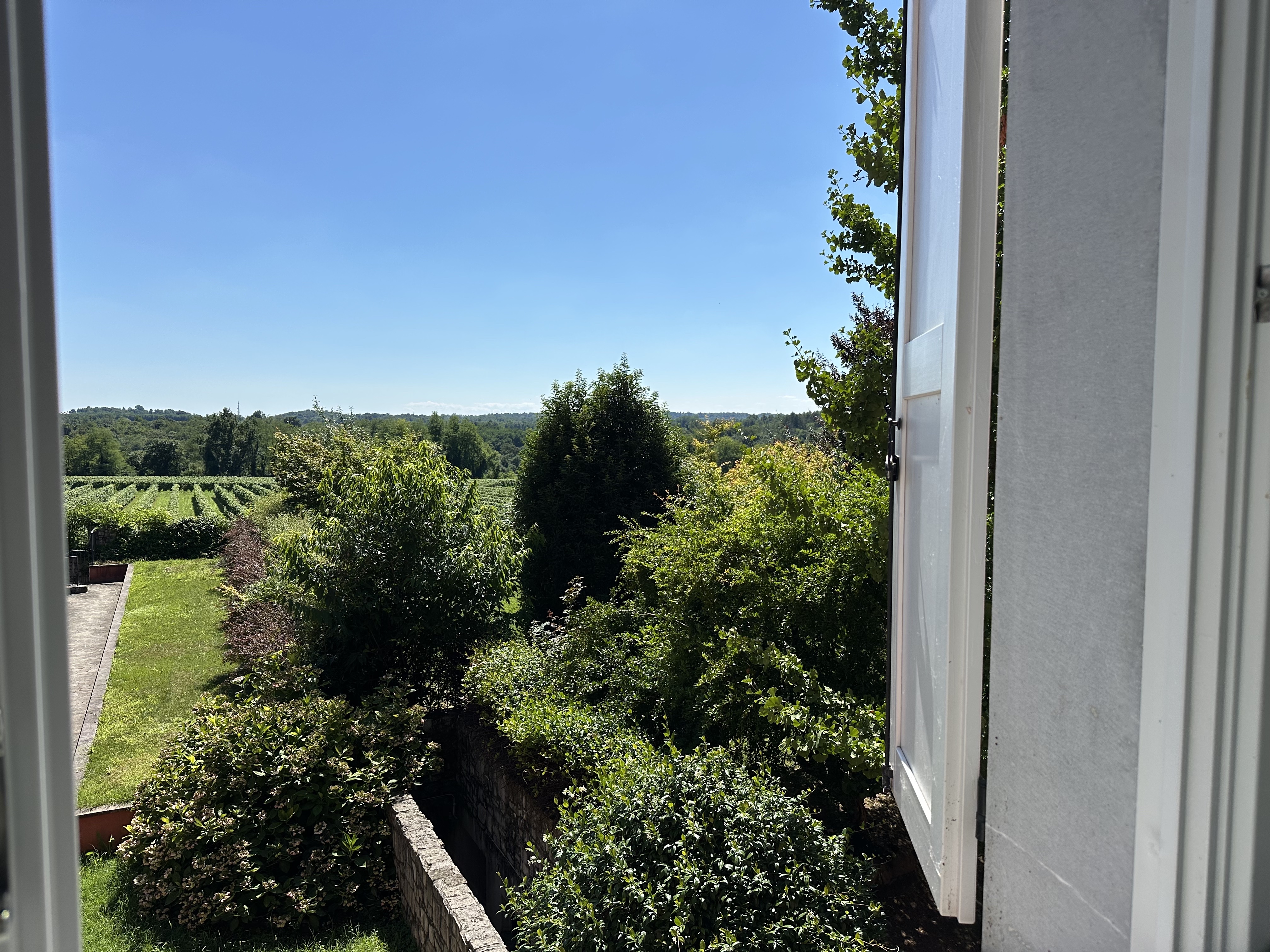 Media numero 11 di Ara Grande - Casa in corte